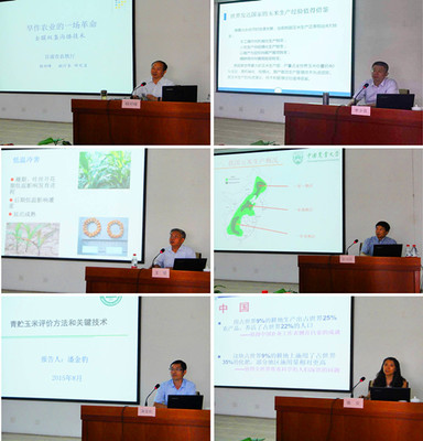 北方玉米田間管理技術培訓班在新疆舉辦 科技興農與綠色發展的雙重奏